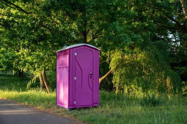 Best High-end porta potty rental  in Royalton, IL